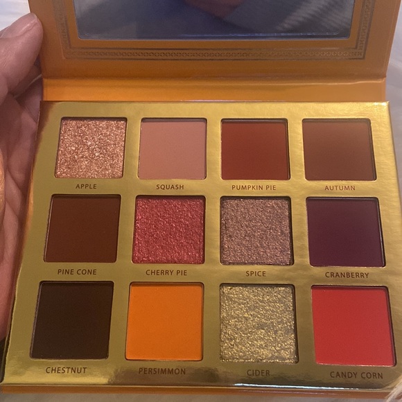 NIB ACE BEAUTE Falling For You Palette  Retails: $35 - Picture 2 of 5